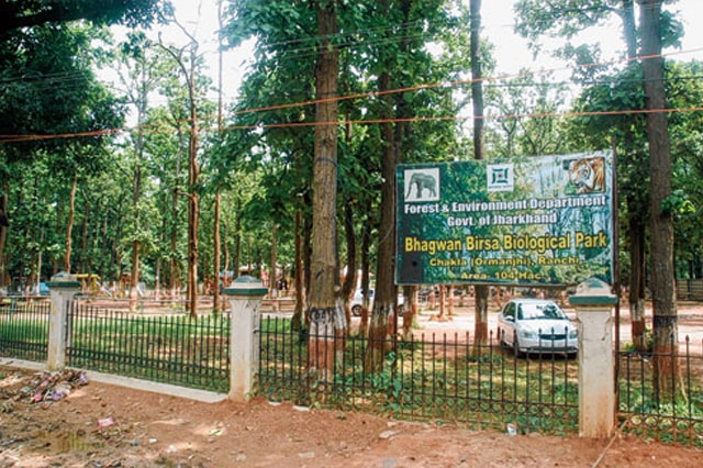 ace hydra crane dealer in gaya